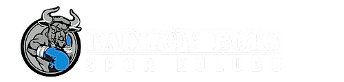 Bakı Boks Kulübü - Azərbaycan İlk ve Tek Profesyonel Boks Kulübü