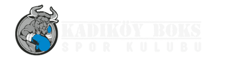 Bakı Boks Kulübü - Azərbaycan İlk ve Tek Profesyonel Boks Kulübü