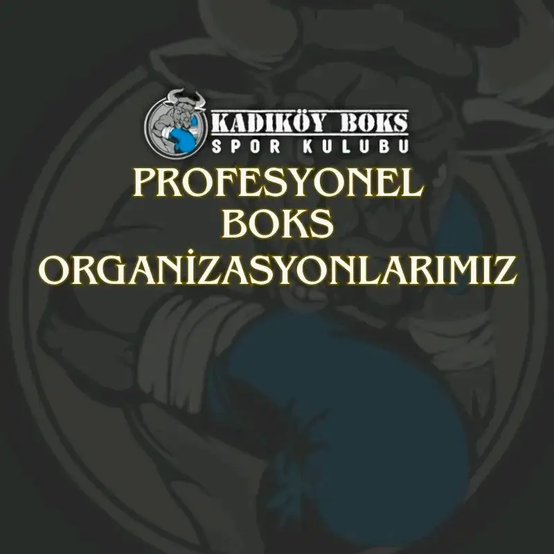 Profesyonel Boks Organizasyonlarımız